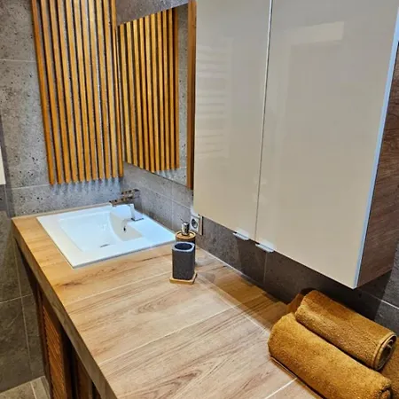 Deluxe Apartment *