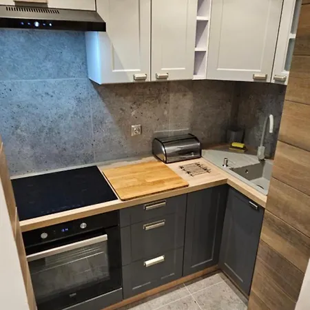 Deluxe Apartment *