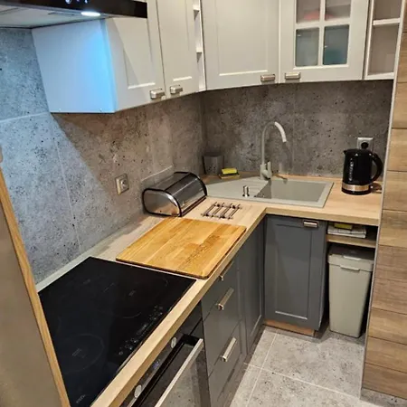 Apartment Deluxe Pyskowice